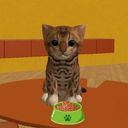 Cat Games Online